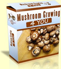 1 Mushroom Growing 4 You