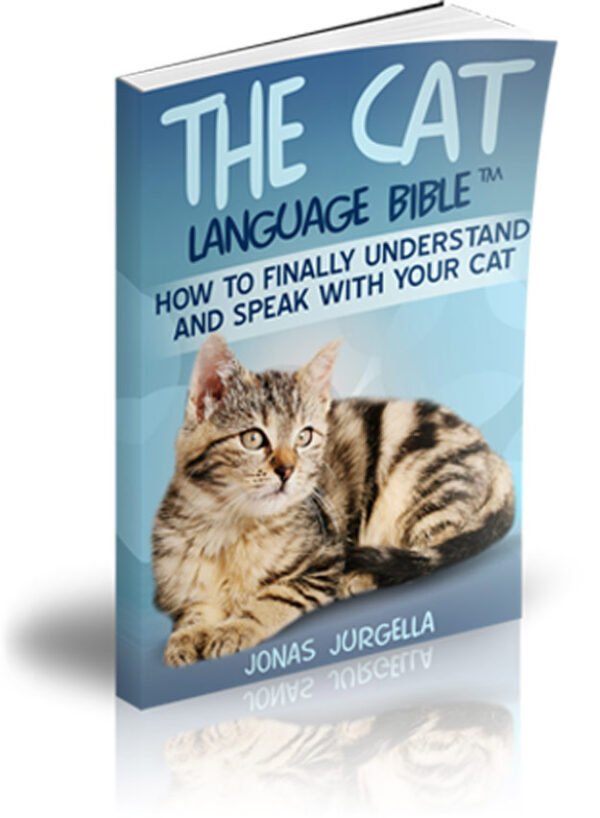 2 Cat Language Bible