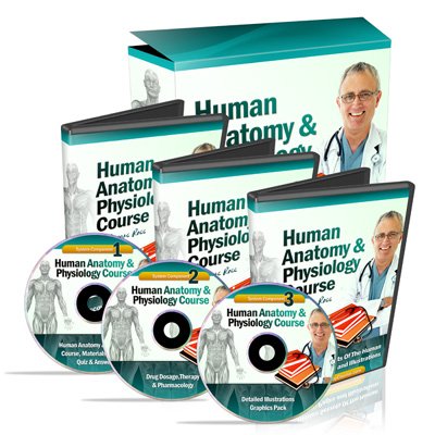 1 Human Anatomy Physiology Course